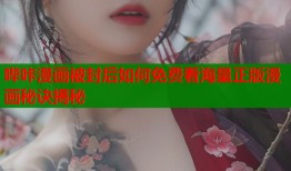 哔咔漫画被封后如何免费看海量正版漫画秘诀揭秘