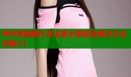 哔咔漫画图片无法显示原因及解决方法详解(1)