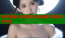 哔咔漫画IOS版导出方法详解与实用技巧分享
