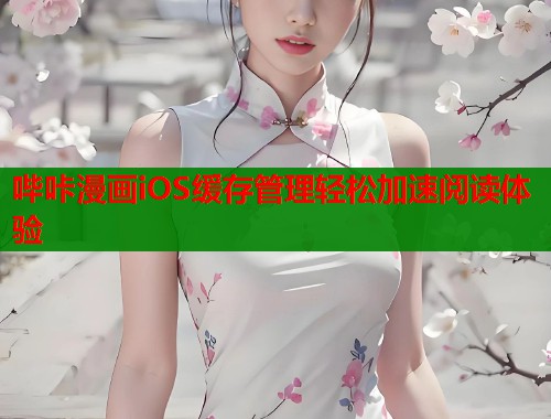 哔咔漫画iOS缓存管理轻松加速阅读体验