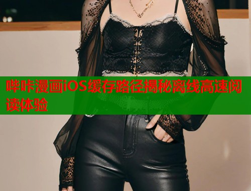 哔咔漫画iOS缓存路径揭秘离线高速阅读体验