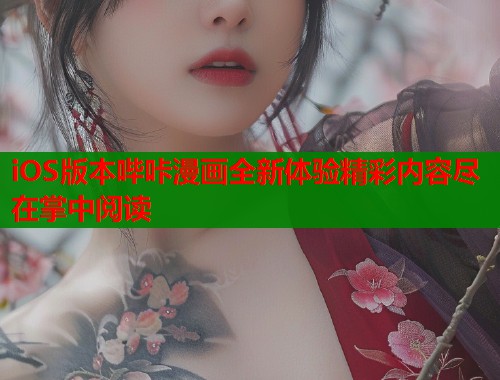 iOS版本哔咔漫画全新体验精彩内容尽在掌中阅读