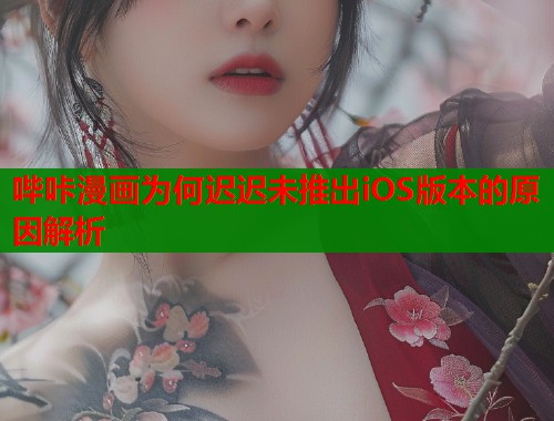 哔咔漫画为何迟迟未推出iOS版本的原因解析