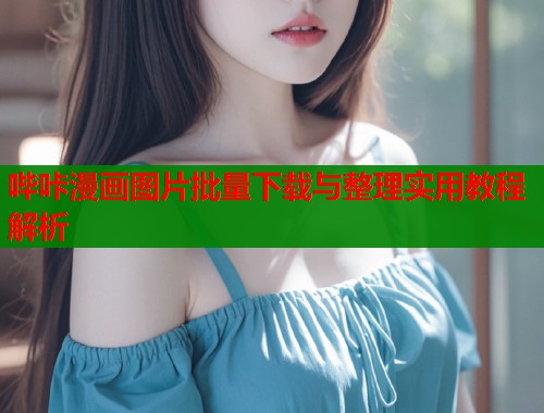 哔咔漫画图片批量下载与整理实用教程解析