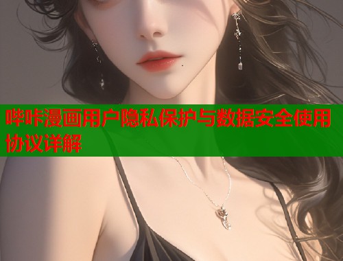 哔咔漫画用户隐私保护与数据安全使用协议详解