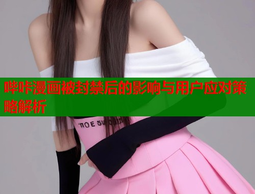哔咔漫画被封禁后的影响与用户应对策略解析